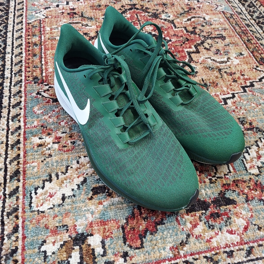 Nike Zoom Pegasus 37, 10.5